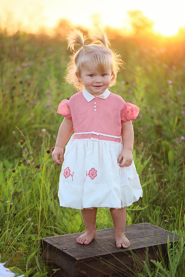 Jacie Vintage Dress Shoot: Indianapolis Children’s Photographer ...